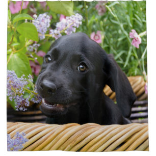Cortina De Ducha Tina negra linda de la foto del perrito del perro