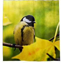 Tomtit - Vestido A La Temporada