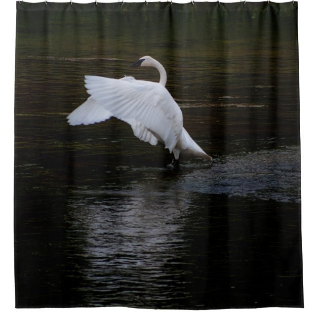 Cortina De Ducha Trumpeter Swan (Anverso)