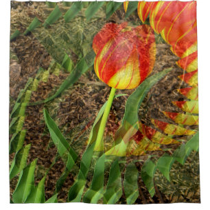 Cortina De Ducha Tulipán cebado........