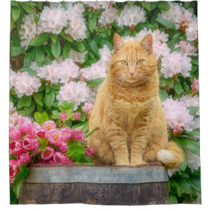 Cortina De Ducha Un gato Naranja en un jardín con flores de primave