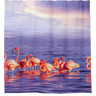 Cortina De Ducha Una bandada de hermosos flamencos rosados contra u