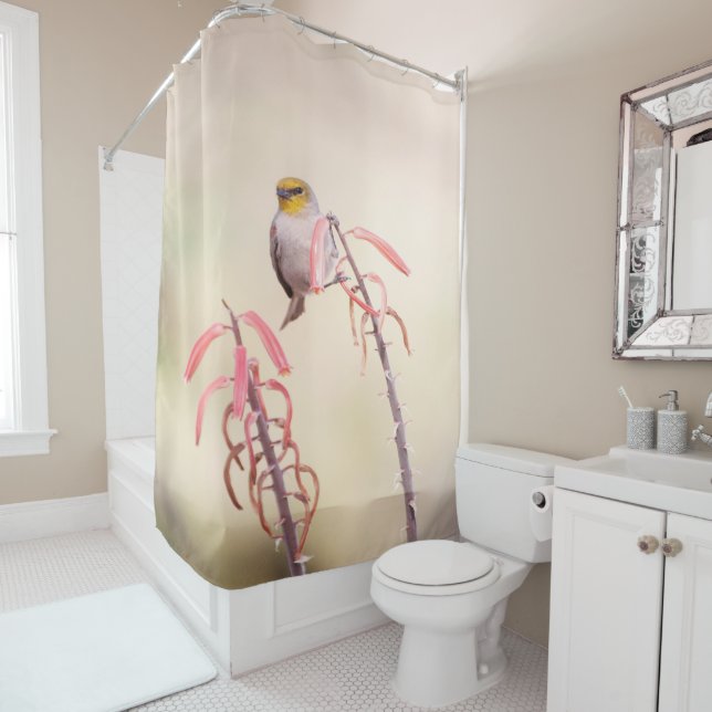 Cortina De Ducha Verdin encaramado sobre pénstemo (In situ)