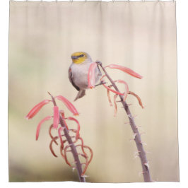 Cortina De Ducha Verdin encaramado sobre pénstemo