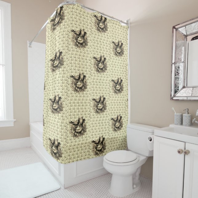 Cortina de ducha victoriana (In situ)