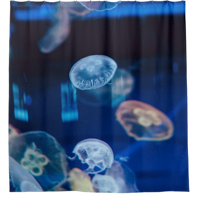 Cortina De Ducha Vida marina de bonito (Anverso)