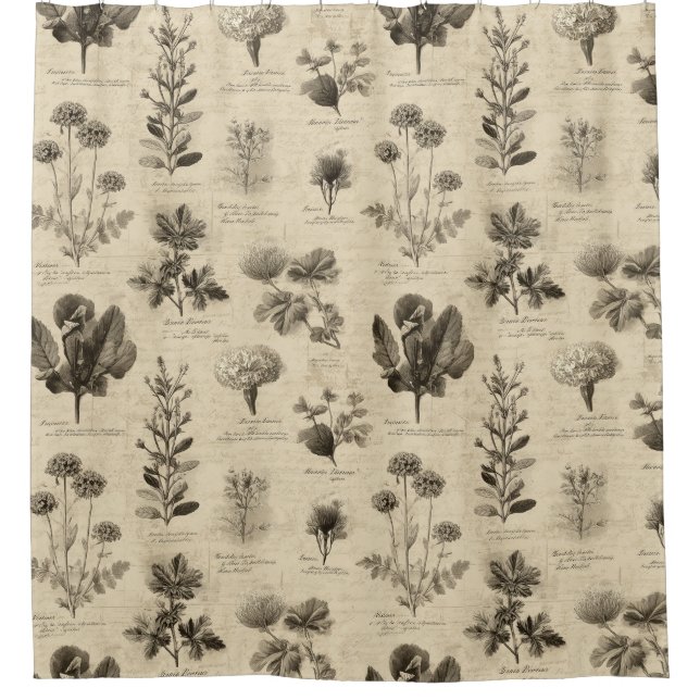 Cortina De Ducha Vintage Botanical Floral Pattern (11) (Anverso)