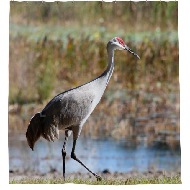 Cortina De Ducha Walking Tall, Sandhill Crane (Anverso)
