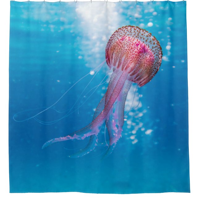 Cortina De Ducha Waves marinas (Anverso)