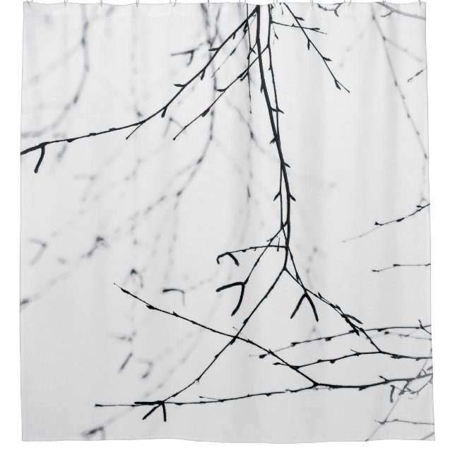 Cortina De Ducha Wet Birch Tree Twigs (Anverso)