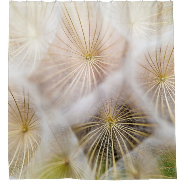 Cortina De Ducha White dandelion flowers (Anverso)