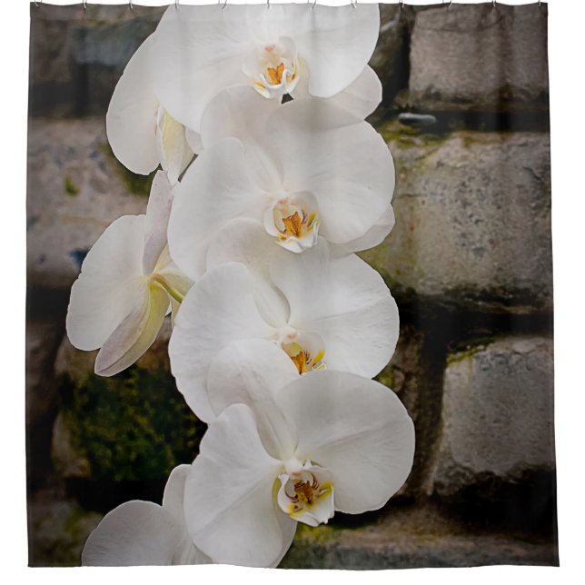 Cortina De Ducha White Moth Orchid (Anverso)