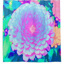 Zinnia rosa y morada de bonito en el jardín de ver
