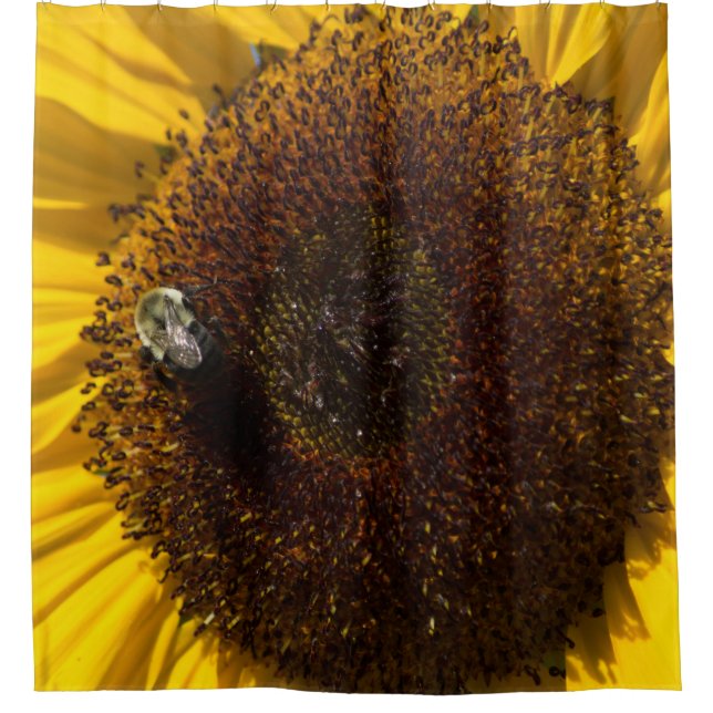 CORTINA DE LA DUCHA DEL ESCALADOR (Anverso)