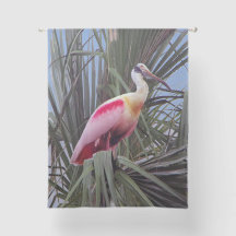 Cortina Roseate Spoonbill