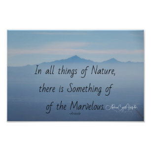Cosas de la naturaleza Foto Ampliación