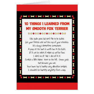 Cosas divertidas I aprendido de mi fox terrier