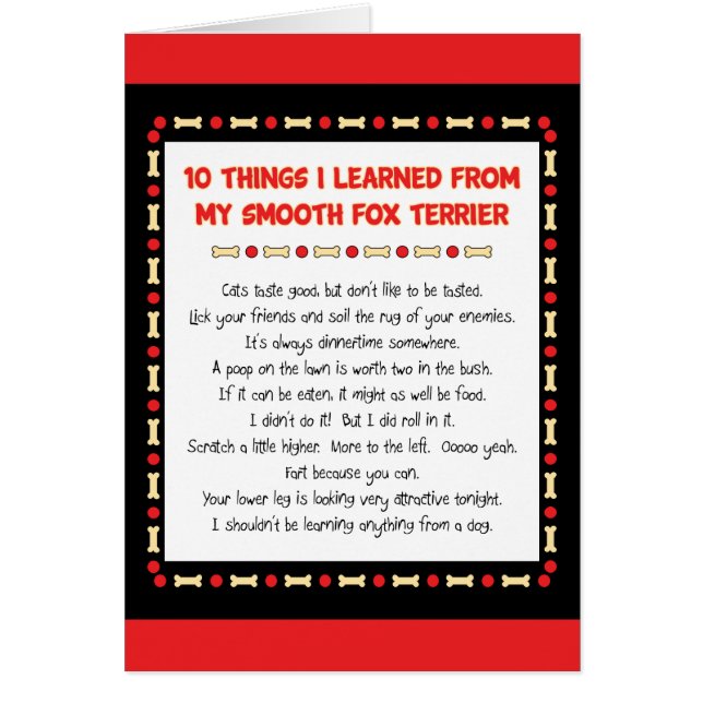Cosas divertidas I aprendido de mi fox terrier (Frente)