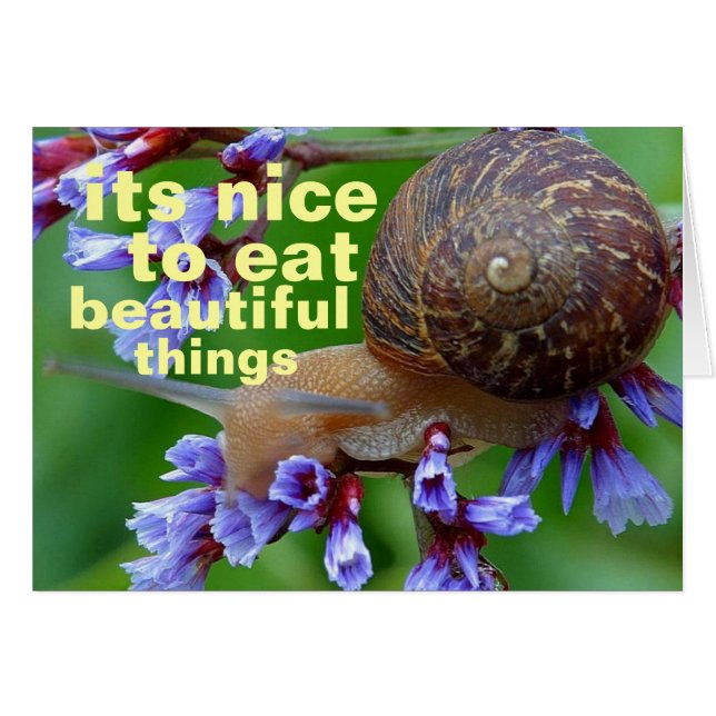 cosas hermosas (Anverso (Horizontal))