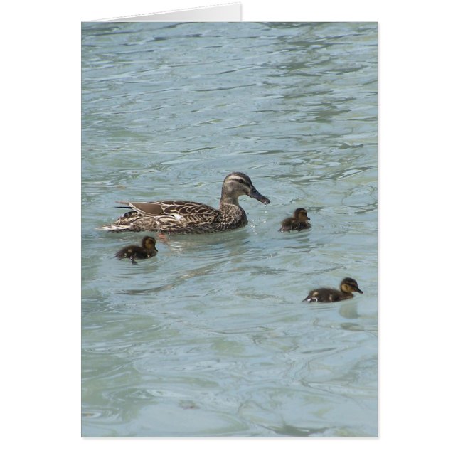 Cosas que flotan (Frente)