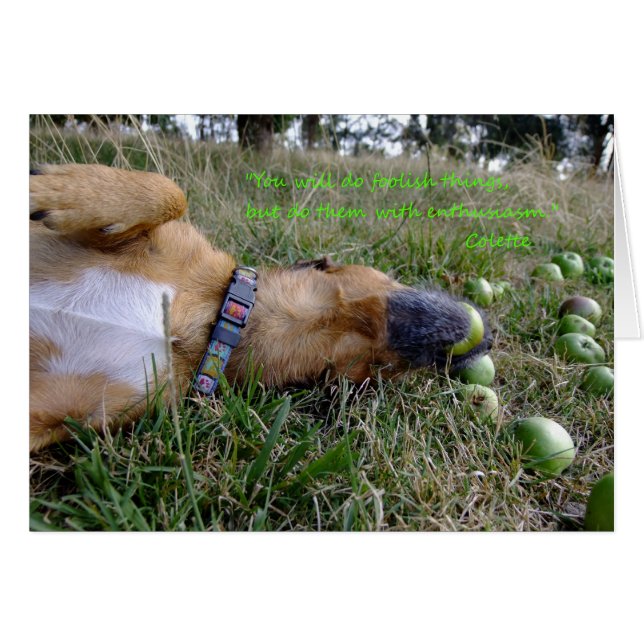 Cosas tontas (Anverso (Horizontal))