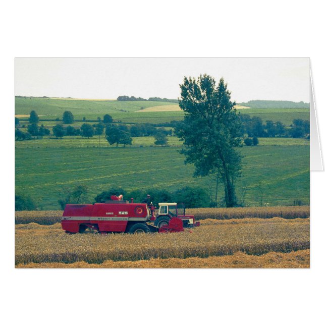 Cosecha (Anverso (Horizontal))