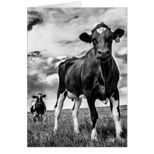 Cosecha de BW que espera