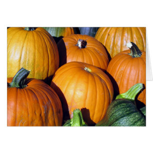 Cosecha de la calabaza