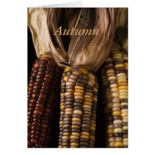 Cosecha de maíz de otoño