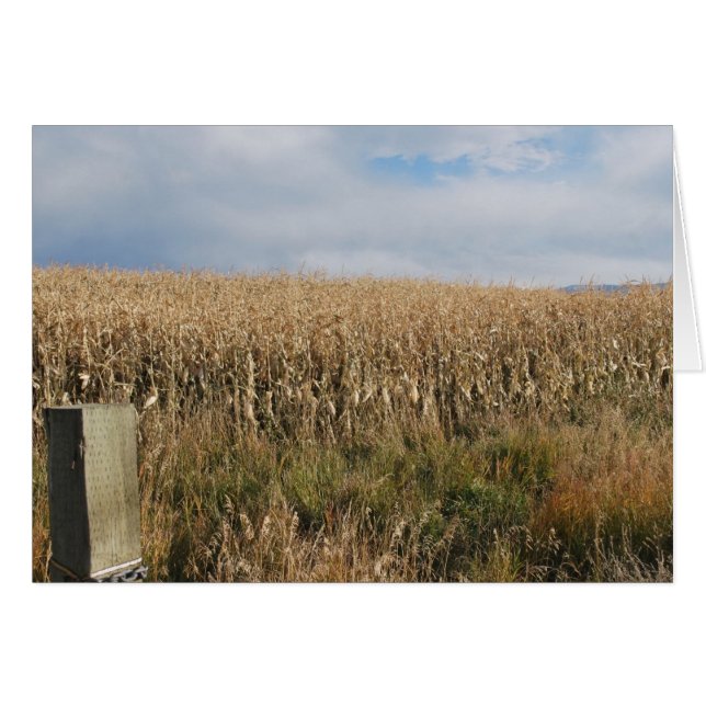 Cosecha de maíz de otoño (Anverso (Horizontal))