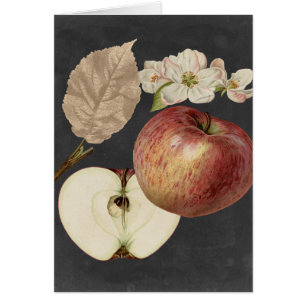 Cosecha de medianoche II