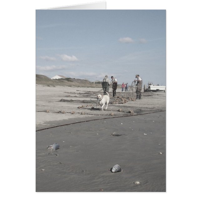 Cosecha de otoño (Frente)