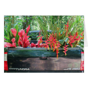 Cosecha de Tropicals hawaiano