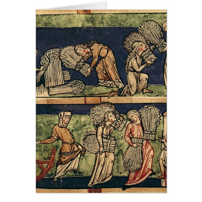 Cosechando, escuela del Rin (Frente)