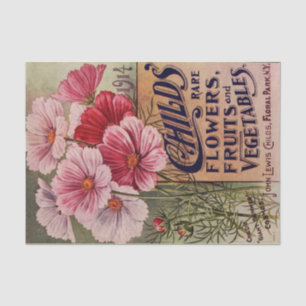 Cosmos del vintage del papel seda del catálogo de