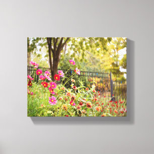 Cosmos Garden 8 x 10 Ajuste de lienzo por DeGruy