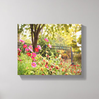 Cosmos Garden 8 x 10 Ajuste de lienzo por DeGruy