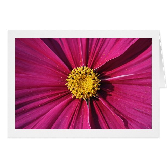 Cosmos interno (Anverso (Horizontal))