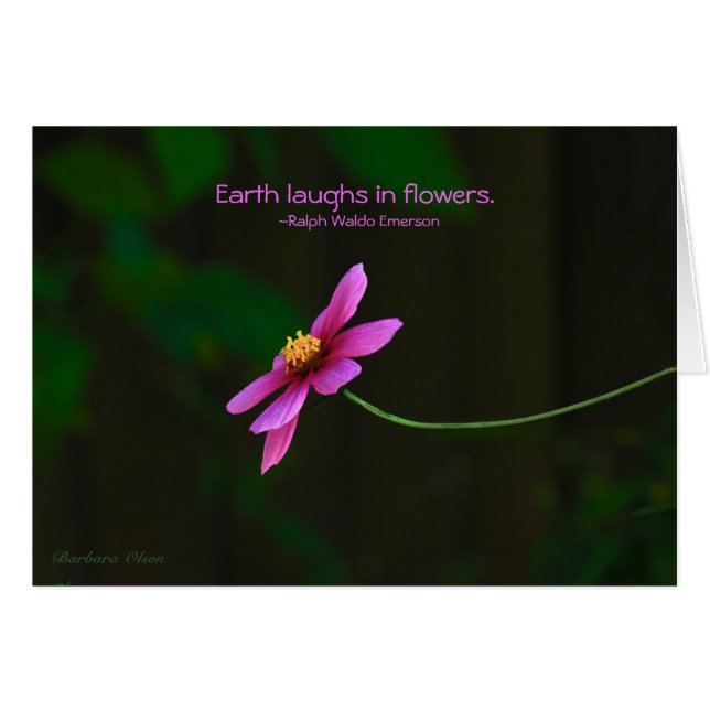 Cosmos: Rieles de la Tierra en flores (Anverso (Horizontal))