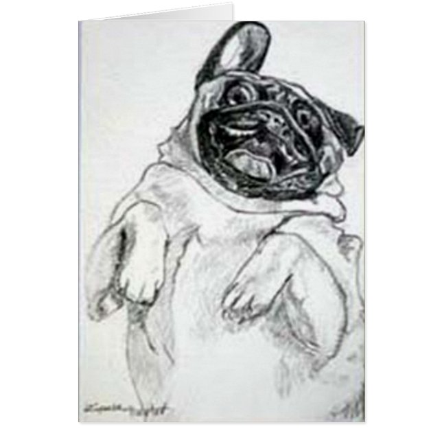 Cosquillee mi panza, por favor (Frente)