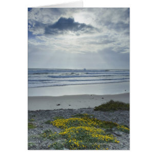 Costa costa de España con las flores y los haces