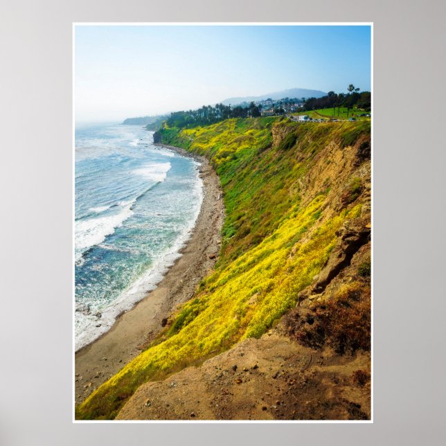 Costa de California dorada: impresión de acantilad (Frente)