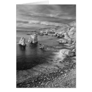 Costa de la playa en blanco y negro, California