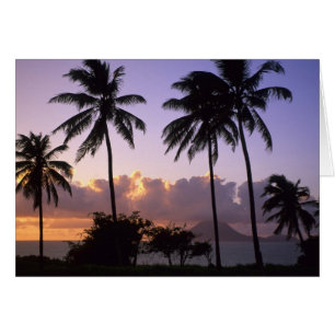 Costa de San Cristóbal