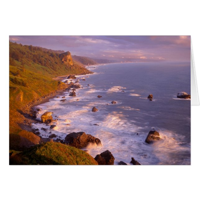 Costa de secuoyas, California (Anverso (Horizontal))