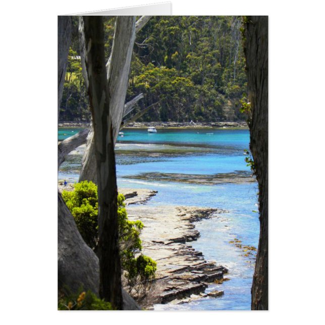 Costa de Tasmania (Frente)