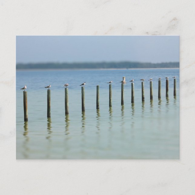 Costa del Golfo - Apaguemos la postal (Anverso)