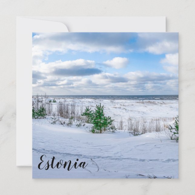 Costa del Mar Báltico cubierta de nieve en inviern (Anverso)