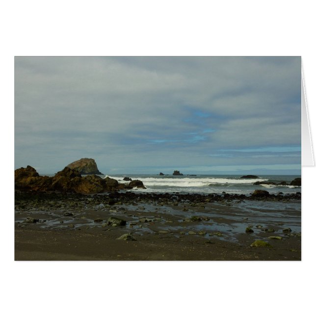 Costa Pacífica en el Parque Nacional Redwood (Anverso (Horizontal))