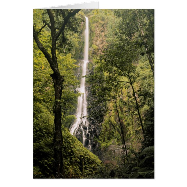 Costa Rica, Isla del Coco, Cascada de Wafer Bay (Frente)